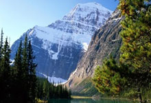 中国篮球赛直播都有哪些新看点和实用观赛指南？